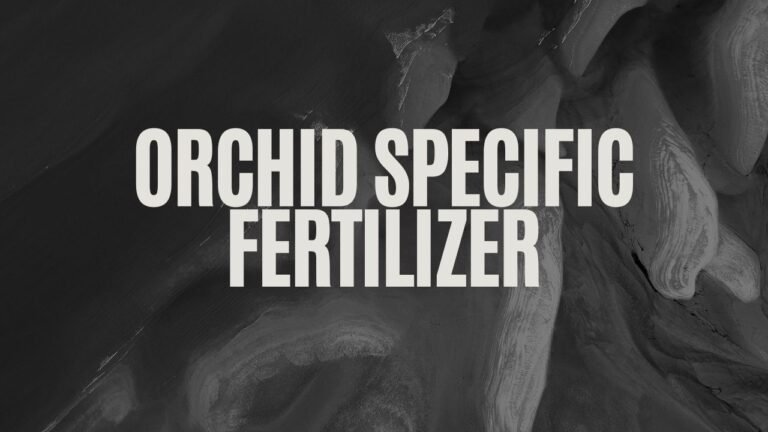orchid specific fertilizer