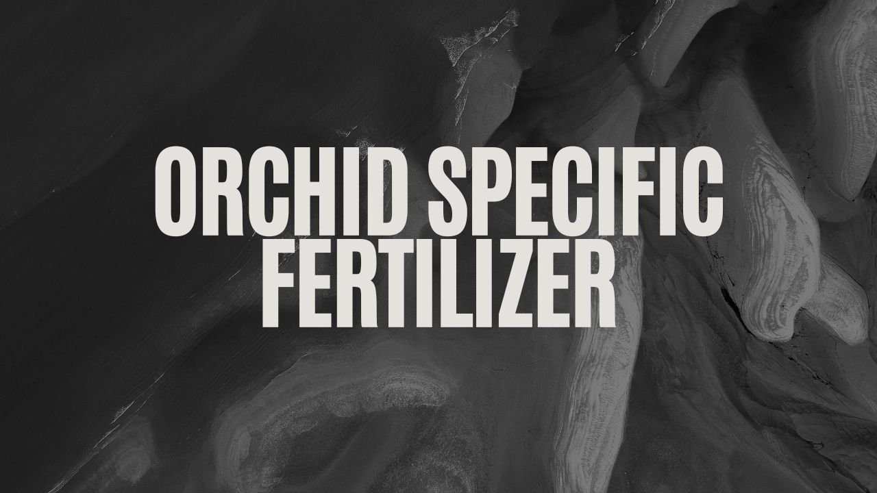 orchid specific fertilizer