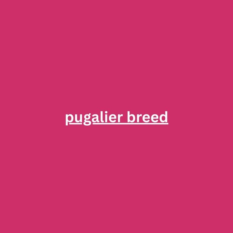 pugalier breed