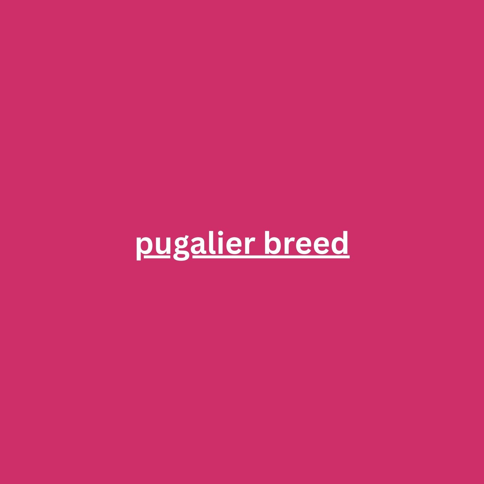 pugalier breed
